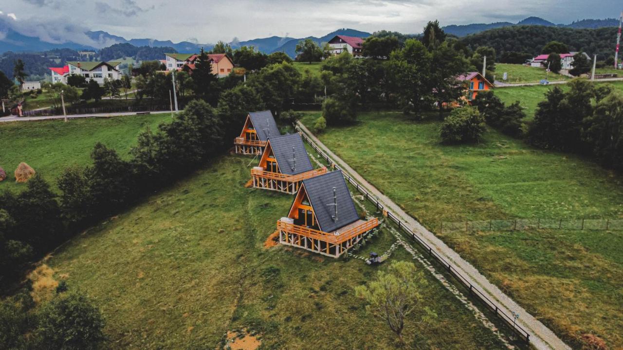 365 Brașov
